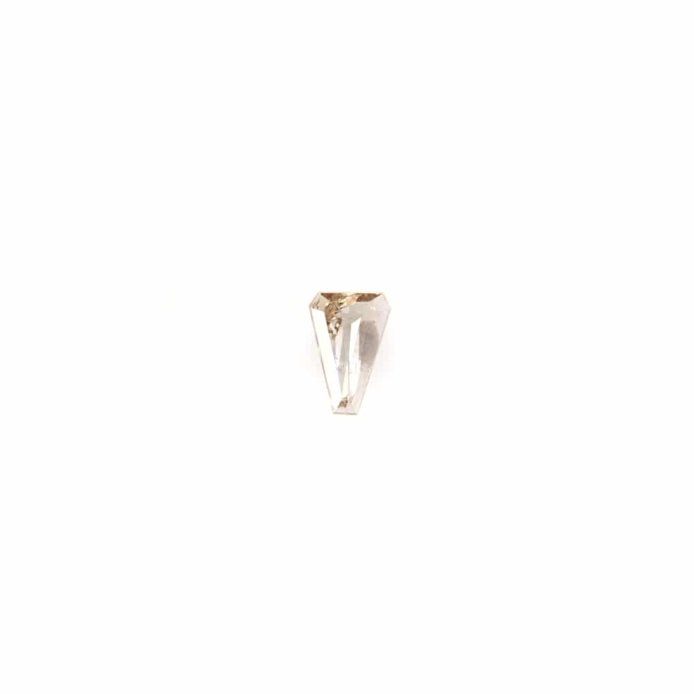 Salt_pepper_fancy_champagne_0004_02