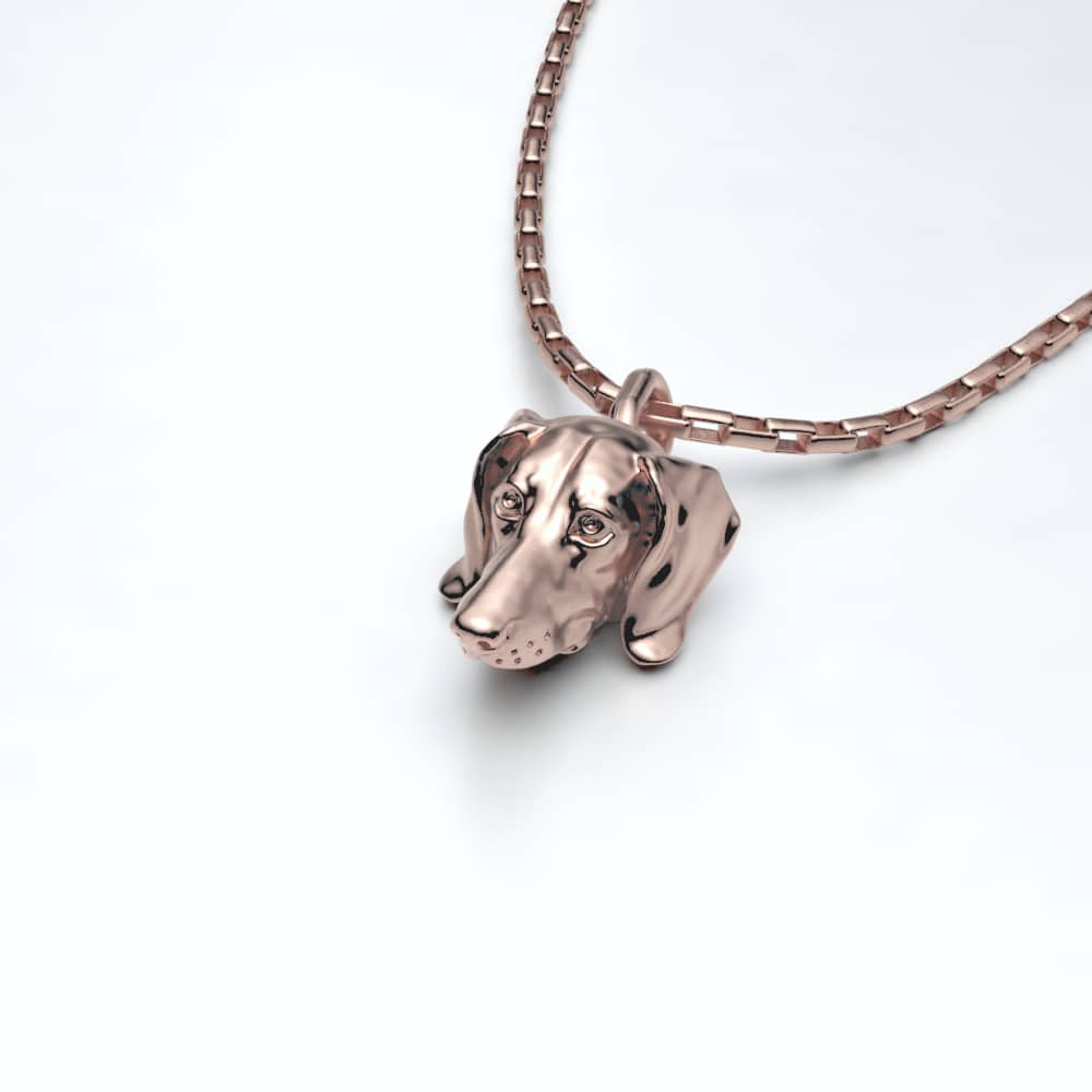 dackel dachshund